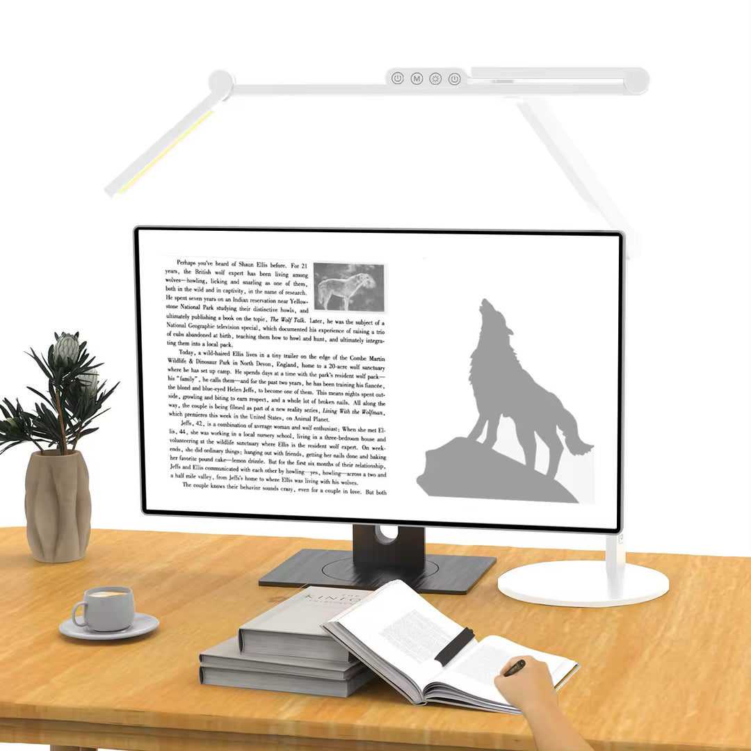 FEDIRAL LED Desk Lamp Round Base